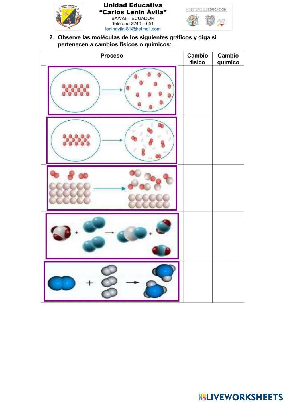Reacciones físicas y químicas