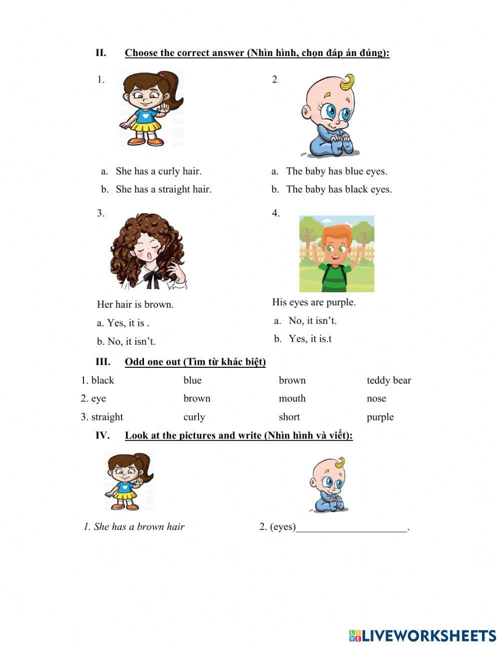 Grade 4 review 1