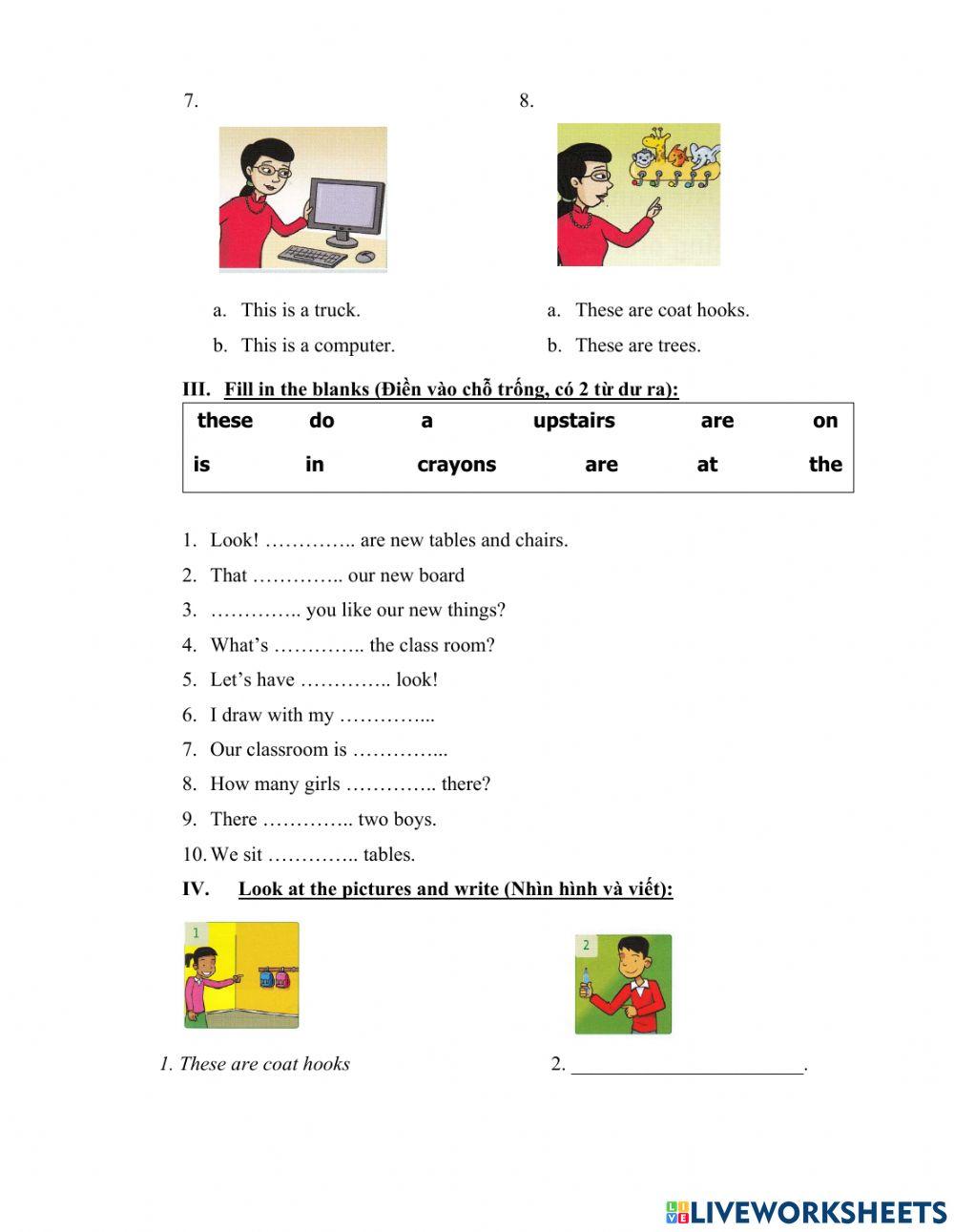 Grade 4 review 1