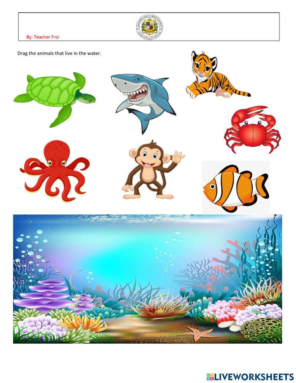 Animals from water