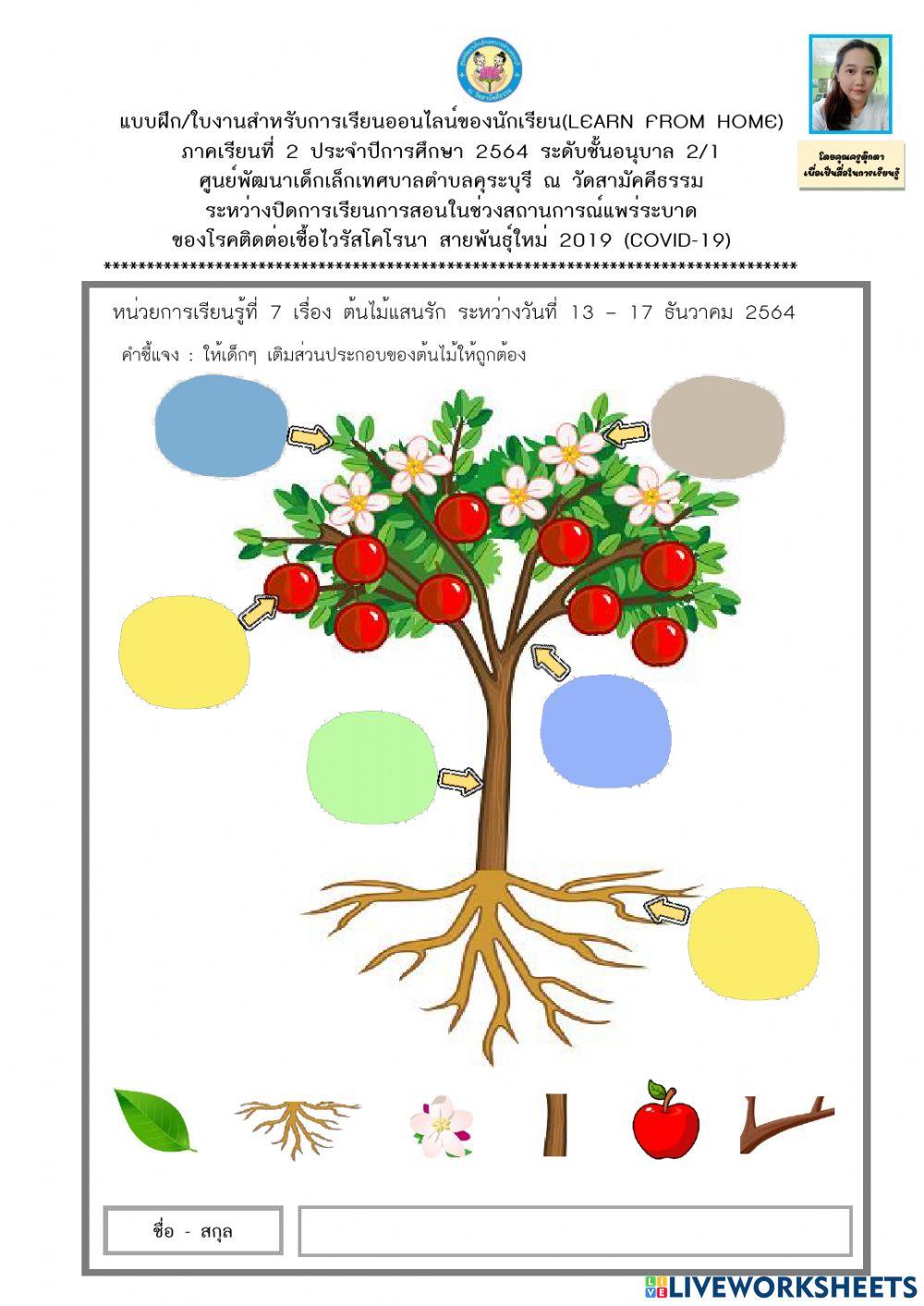 ต้นไม้แสนรัก