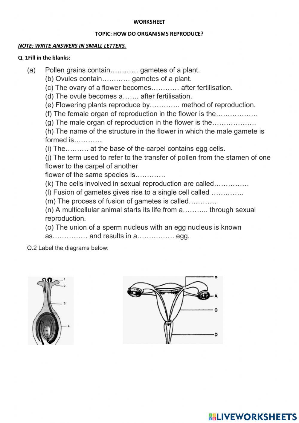 Maths Practice Questions Class 10 Chapter 8