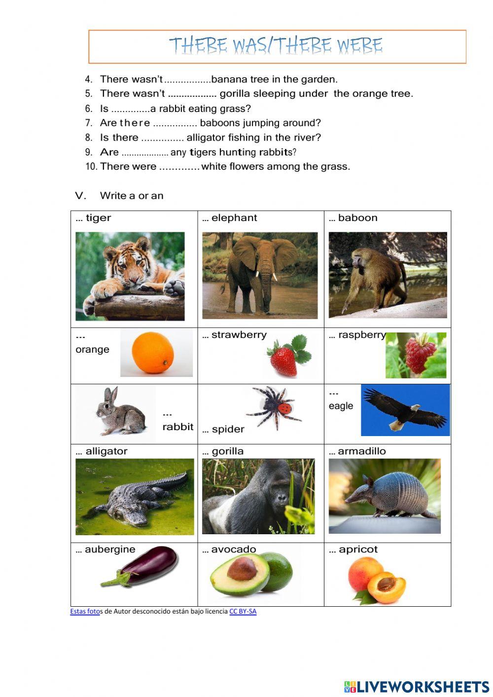 There was and there were