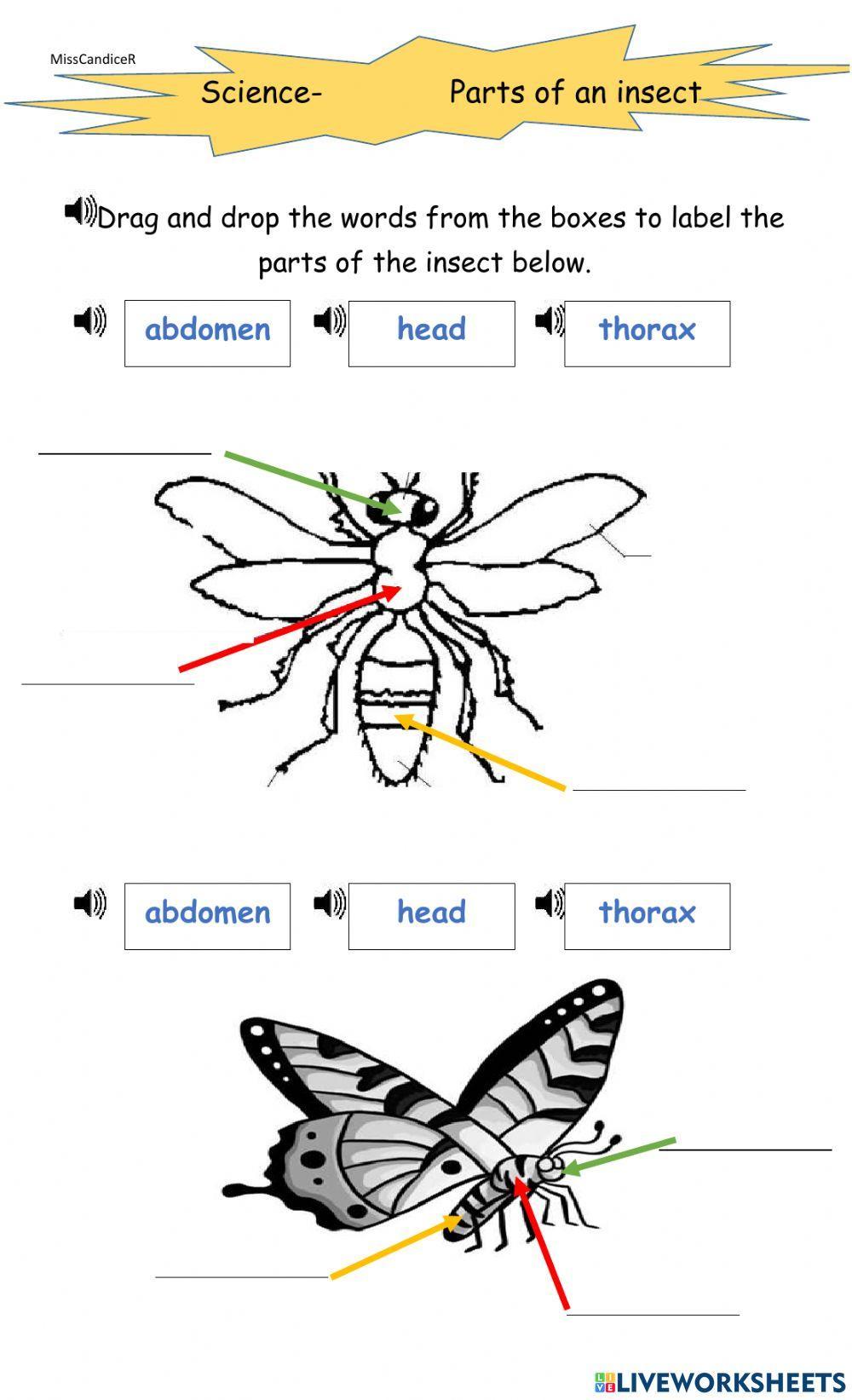 Grouping animals Grouping animals