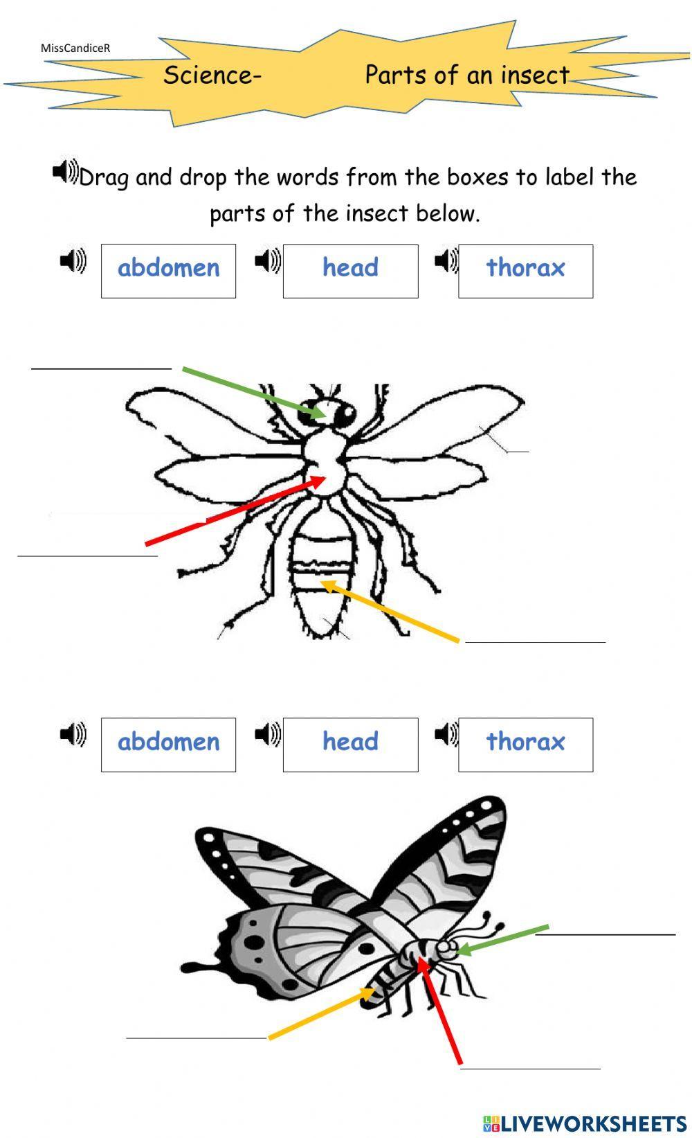 Grouping animals