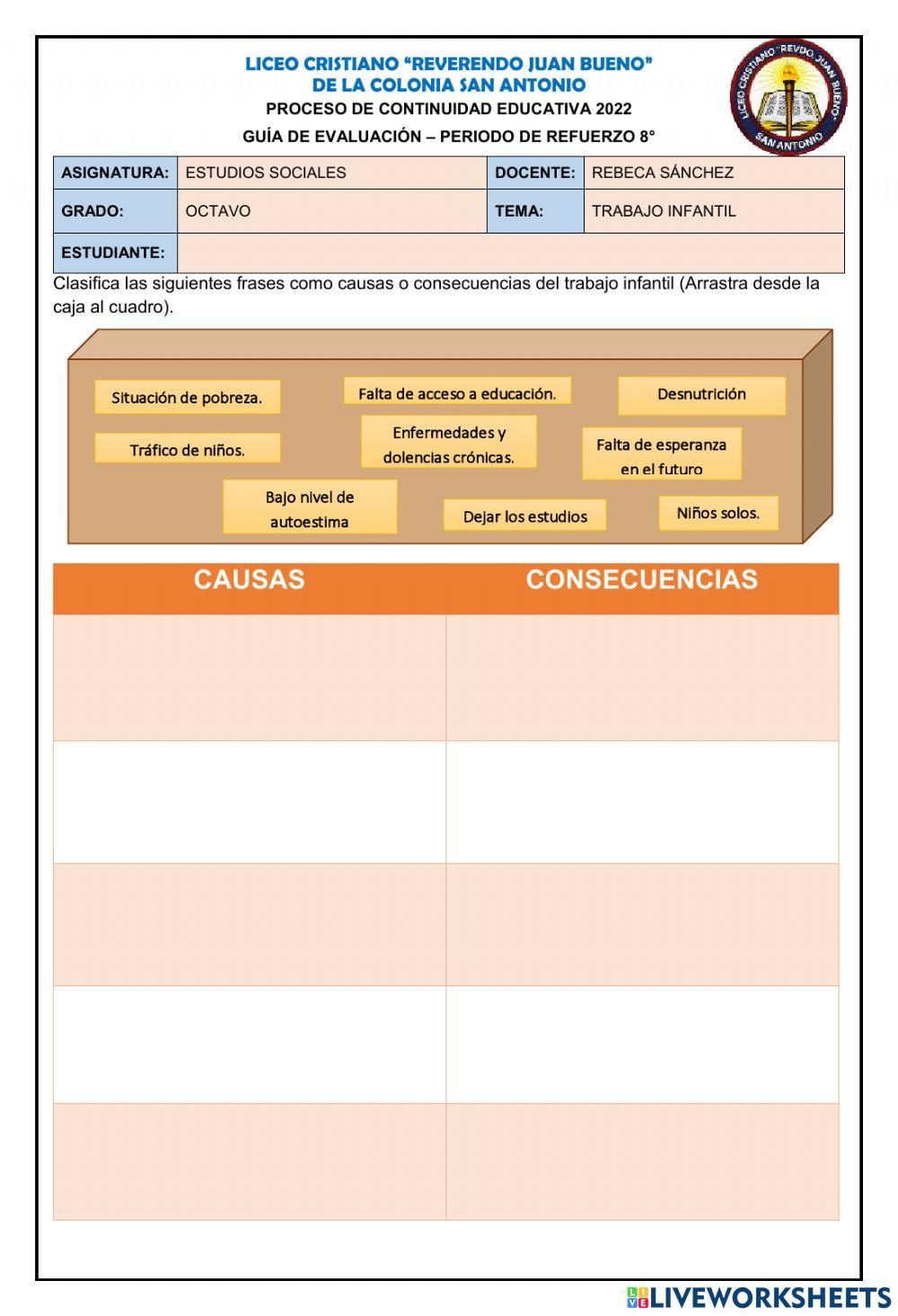 Causas y consecuencias del trabajo infantil