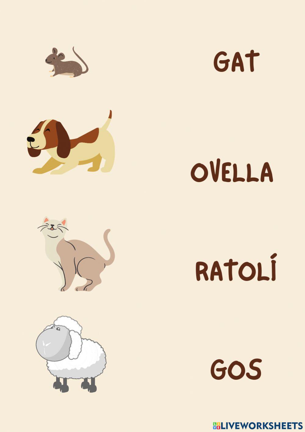 Relaciona animals 1-