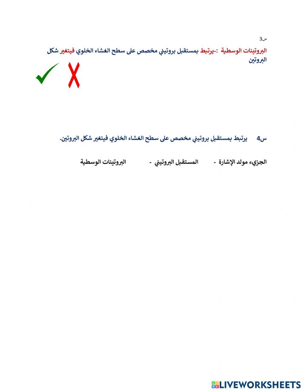 ورقه عمل تجريبي