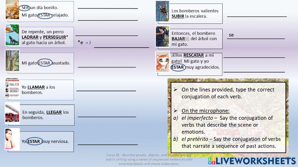 El gato en el árbol