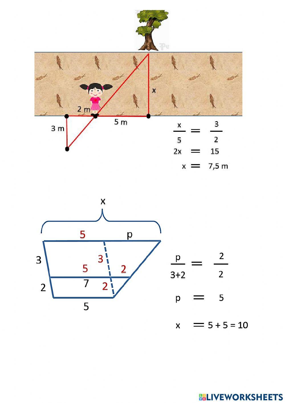 Segitiga-segitiga yang Sebangun