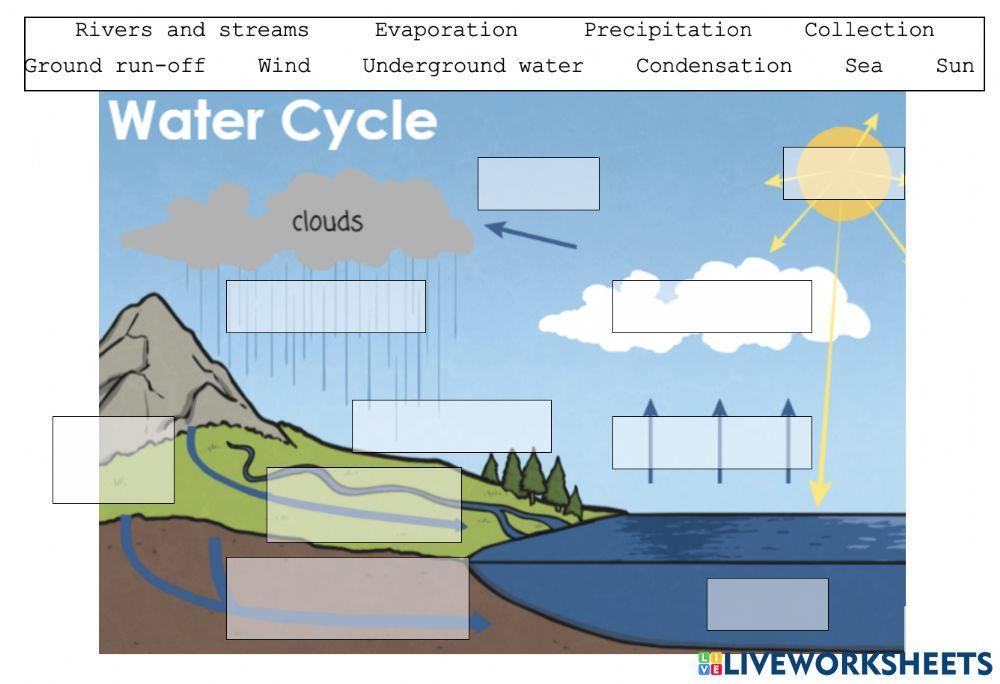 Water Cycle Worksheet Ks2