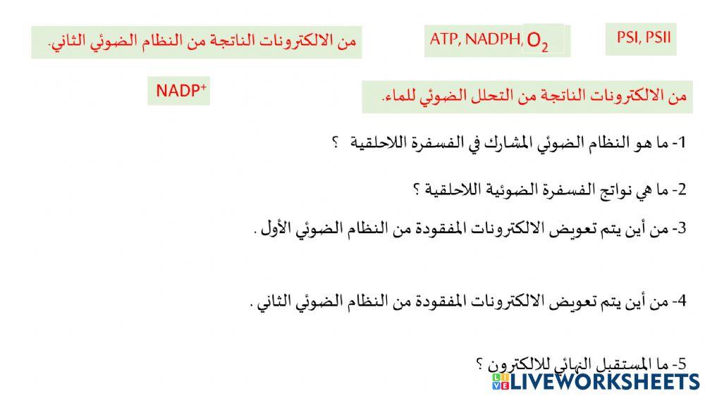 الفسفرة اللاحلقية