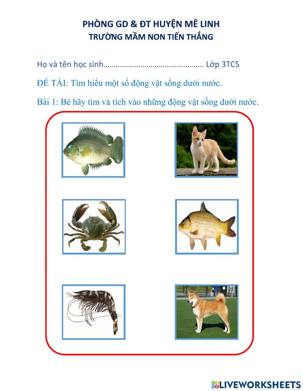 Bài tập khám phá