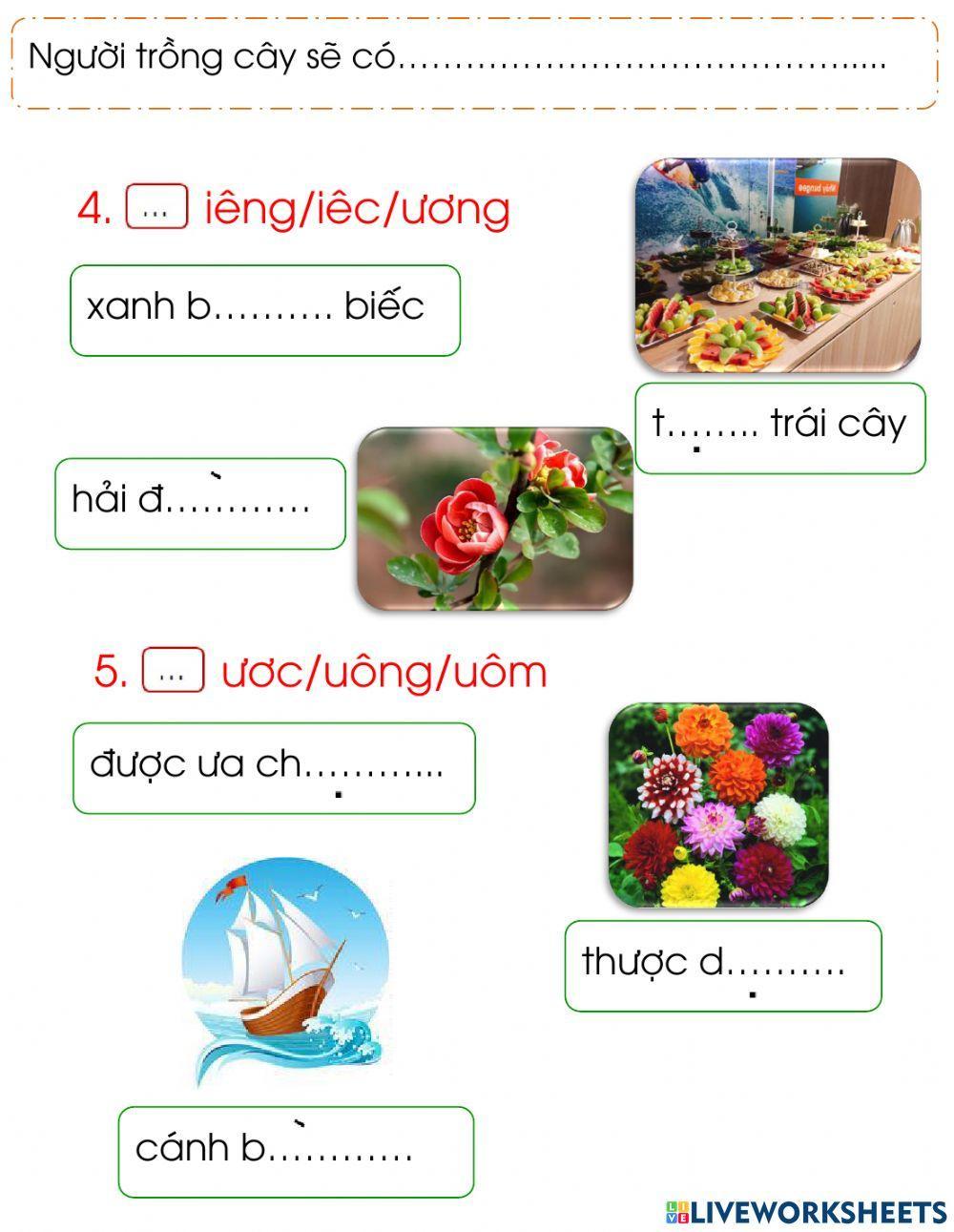 CĐ 17 Bài Thực hành