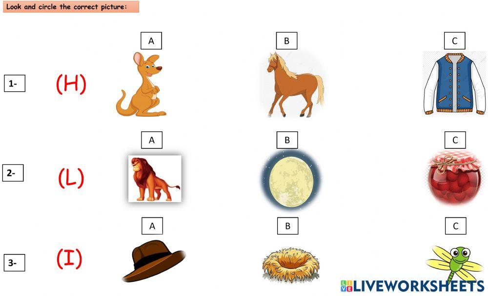 Look and choose the correct answer