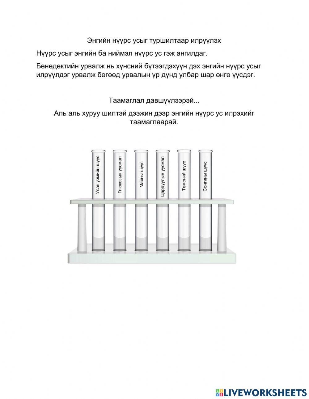 Энгийн нүүрс ус илрүүлэх таамаглал worksheet | Live Worksheets