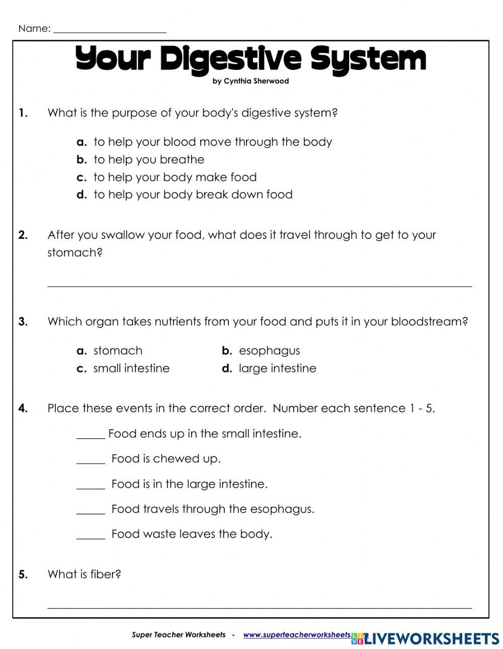 Your Digestive System worksheet Live Worksheets