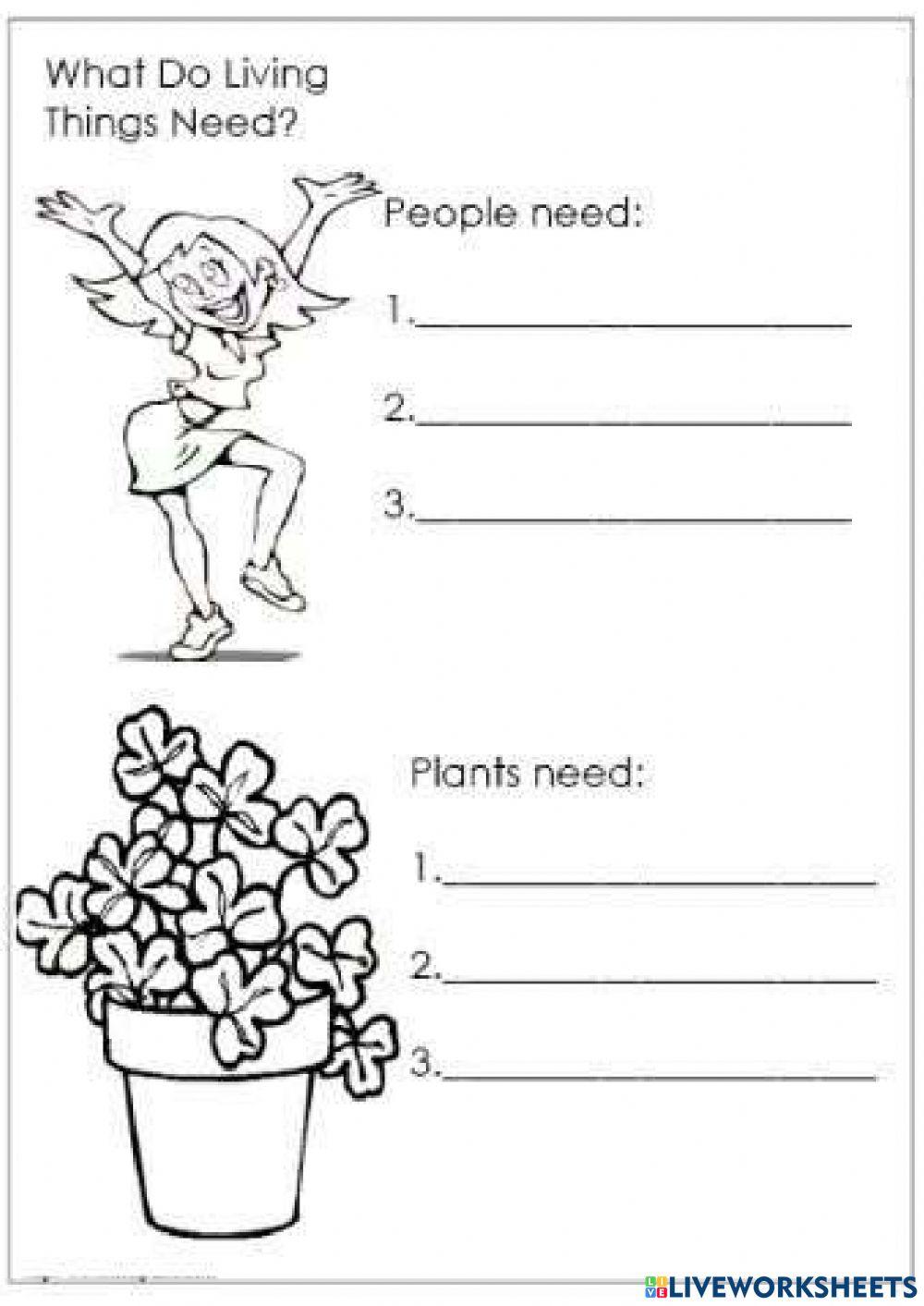 Plants needs