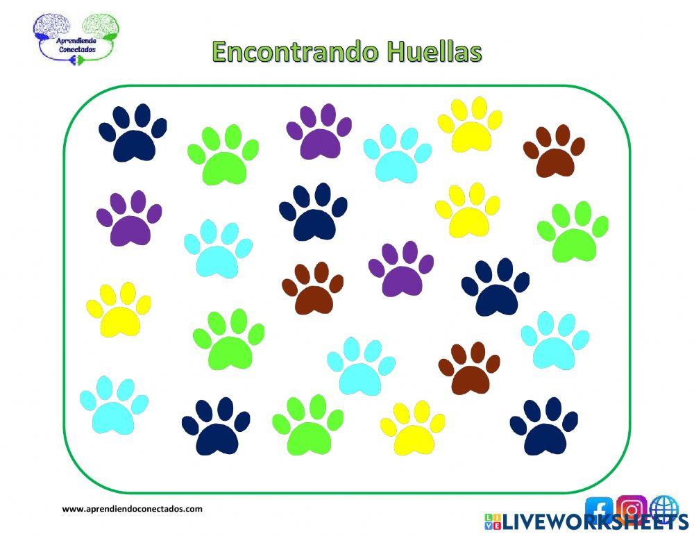 Encontrando Huellas