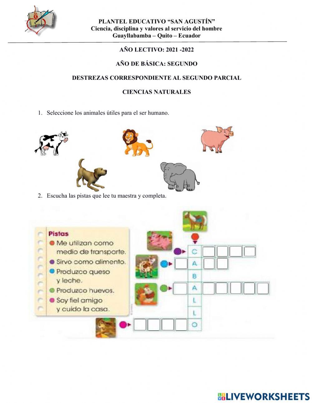 Animales, cuerpo humano