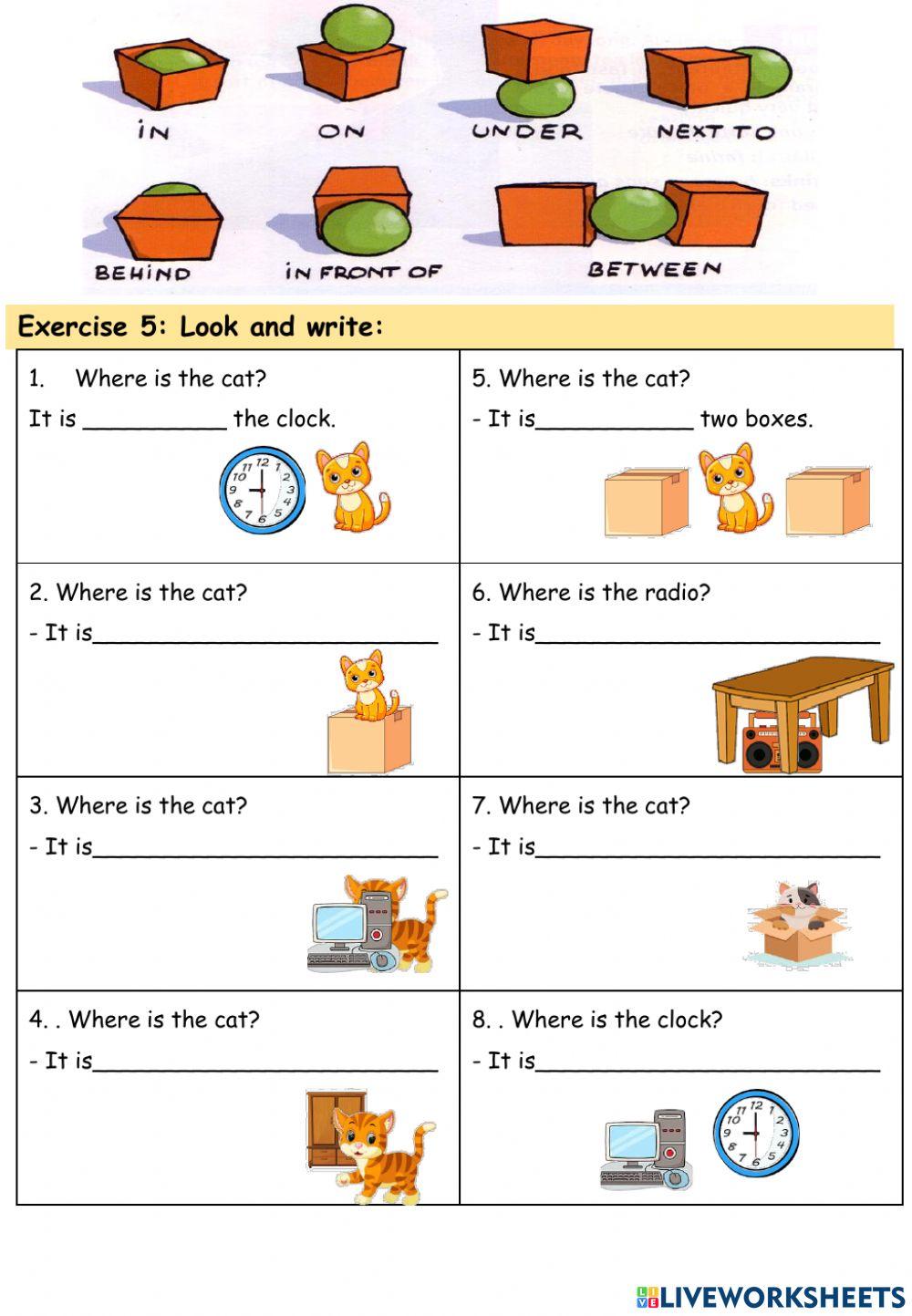 Starters 1C- AT home- Lesson 2