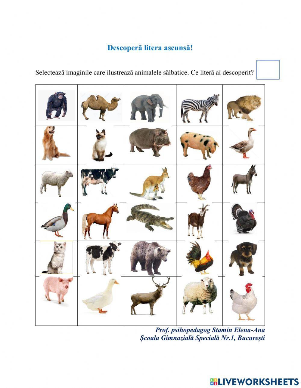 Descoperă litera (T)