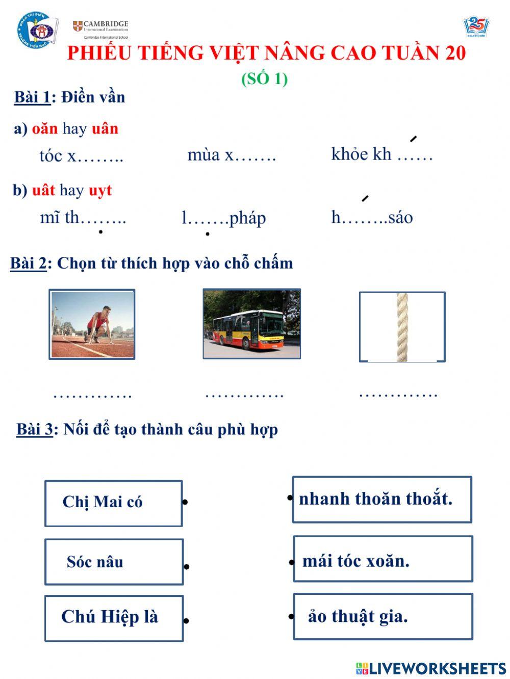 Tiếng việt nâng cao tuần 20