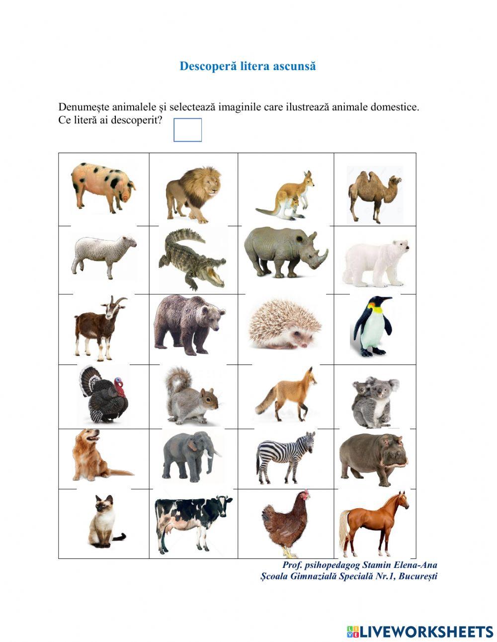 Descoperă litera! (L)