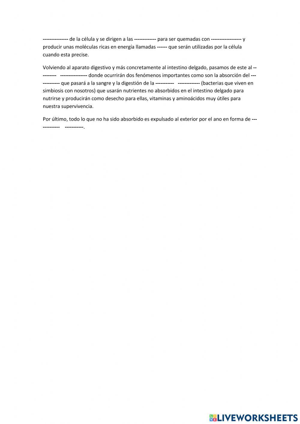 ¿Qué ocurre cuando comemos y bebemos?