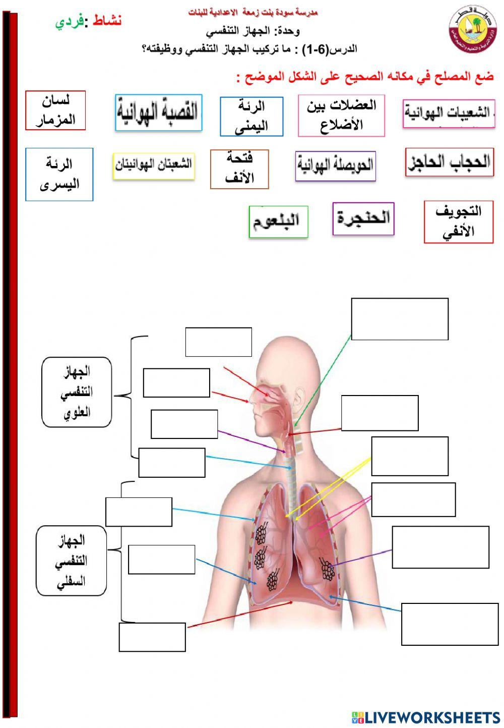 أ.هالة عبدالعزيز