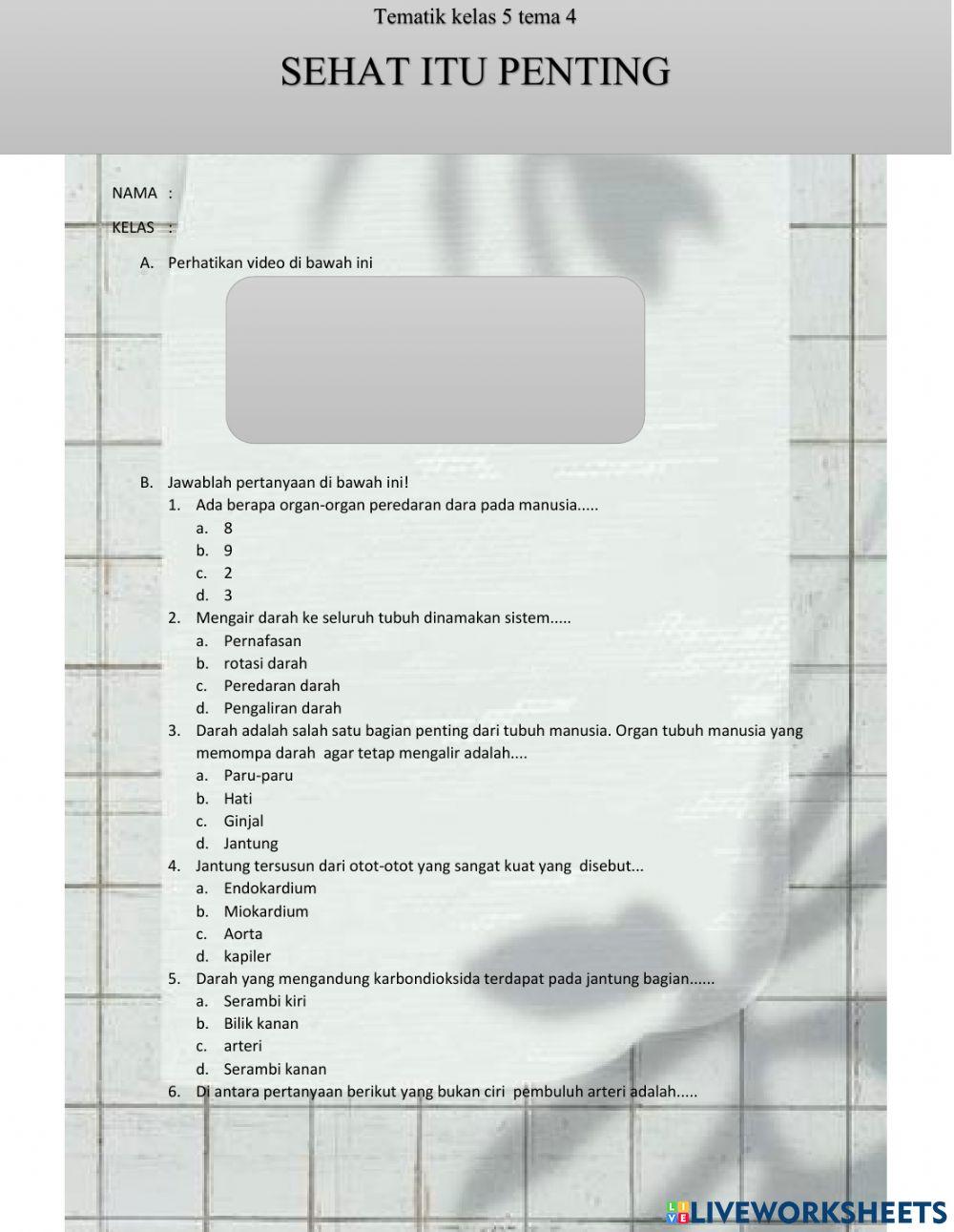 Peredaran darah manusia