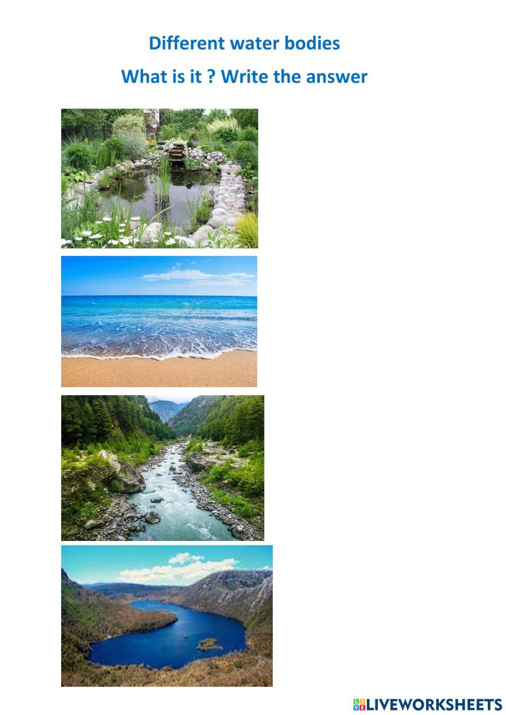 Different water bodies