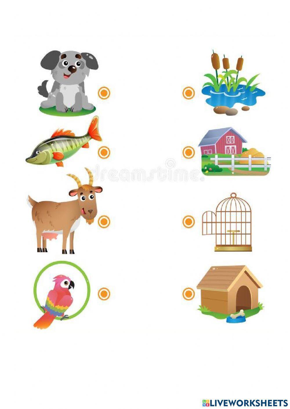 Donde viven los animales Donde viven los animales