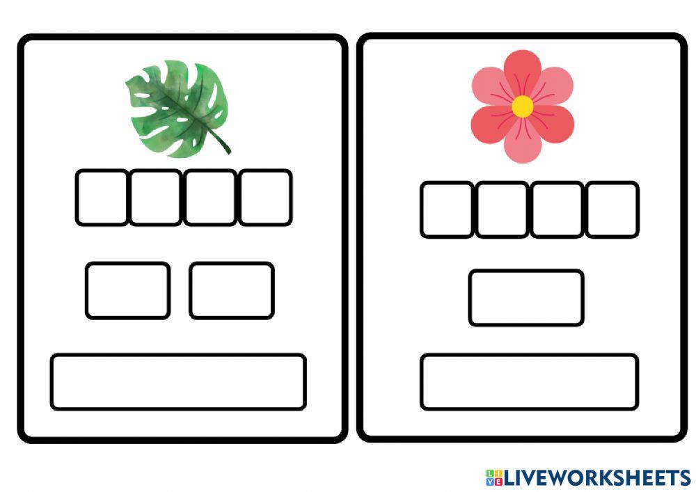 Escritura tres niveles I