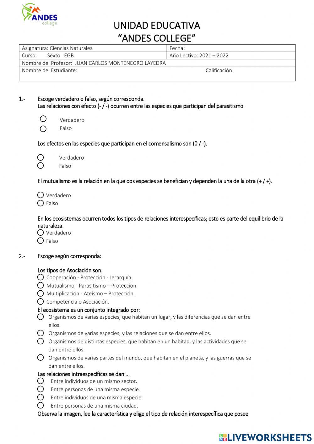 Evaluación Formativa