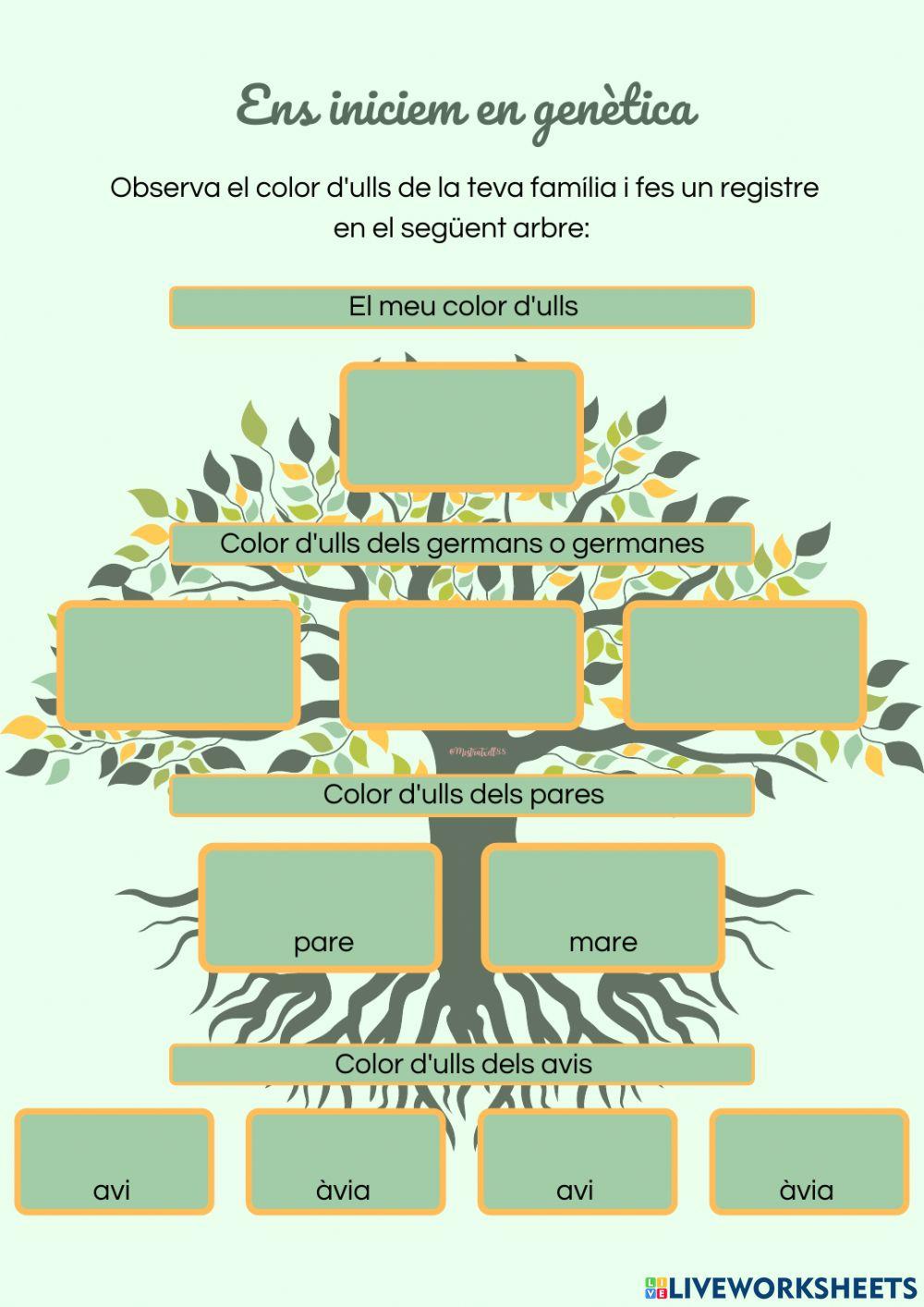 Ens iniciem en genètica