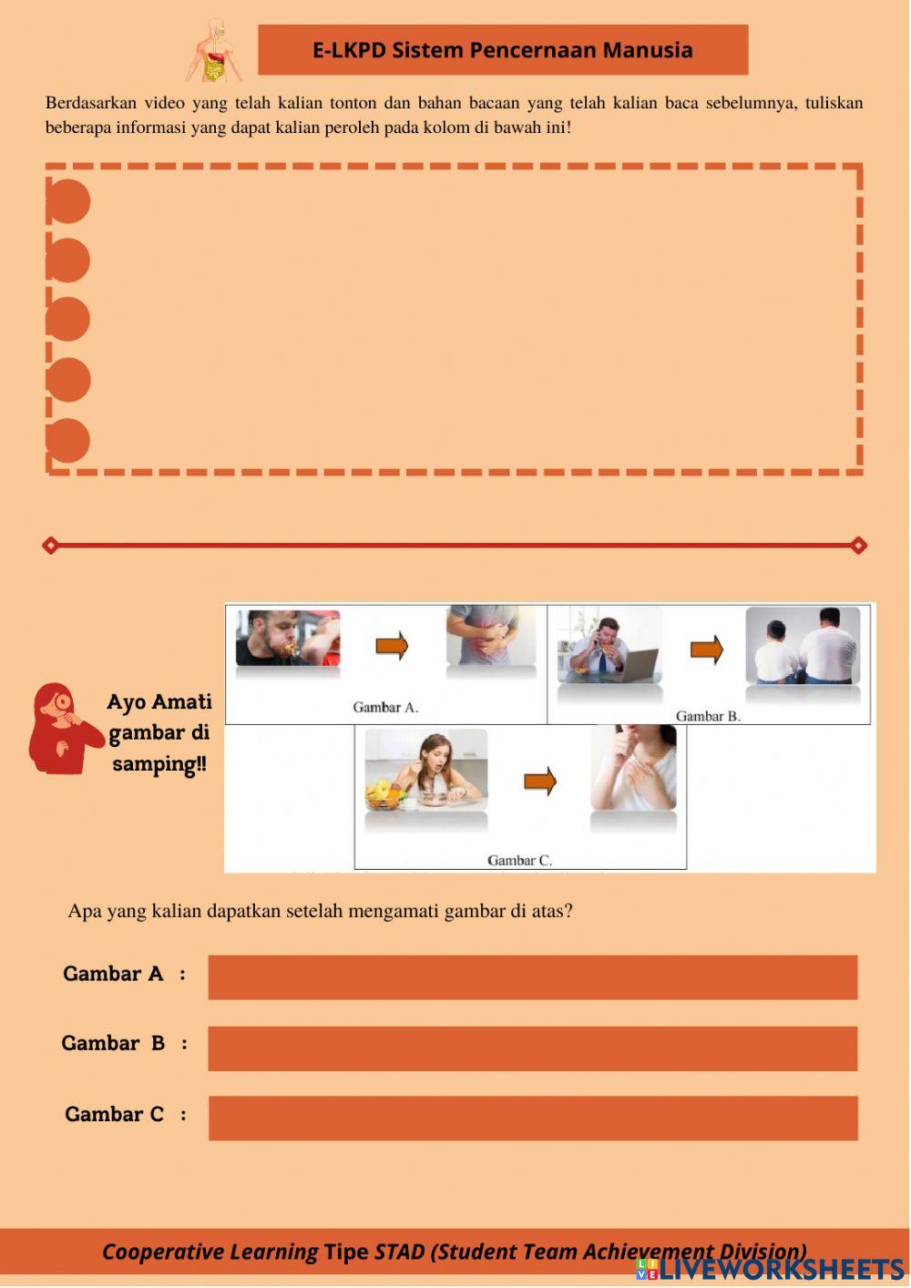 LKPD 2 Struktur Organ Pencernaan