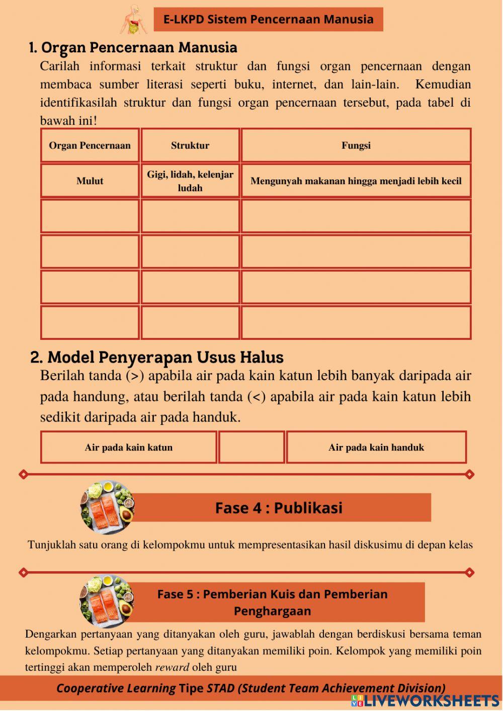 LKPD 2 Struktur Organ Pencernaan