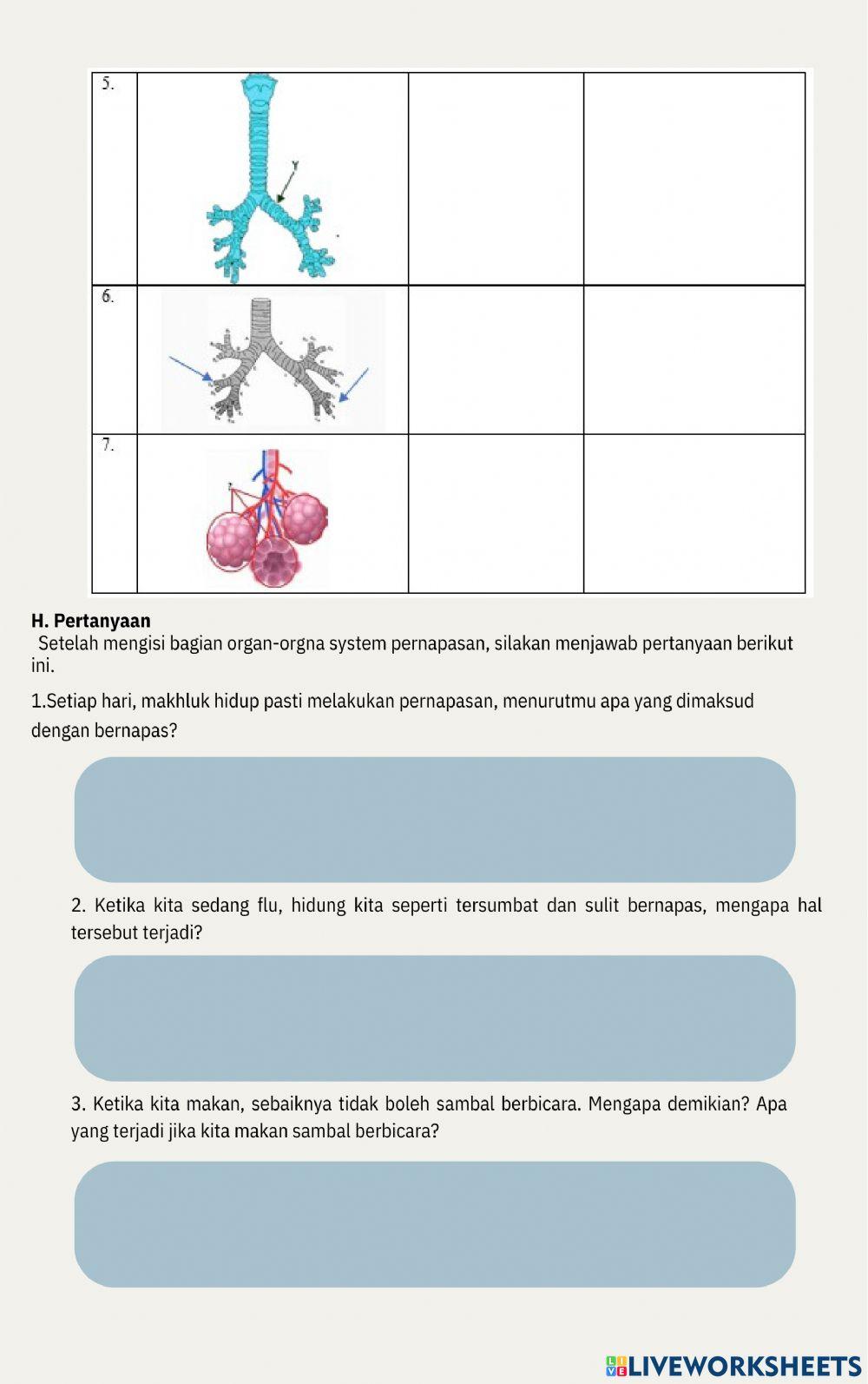 LKPD Sistem Pernapasan
