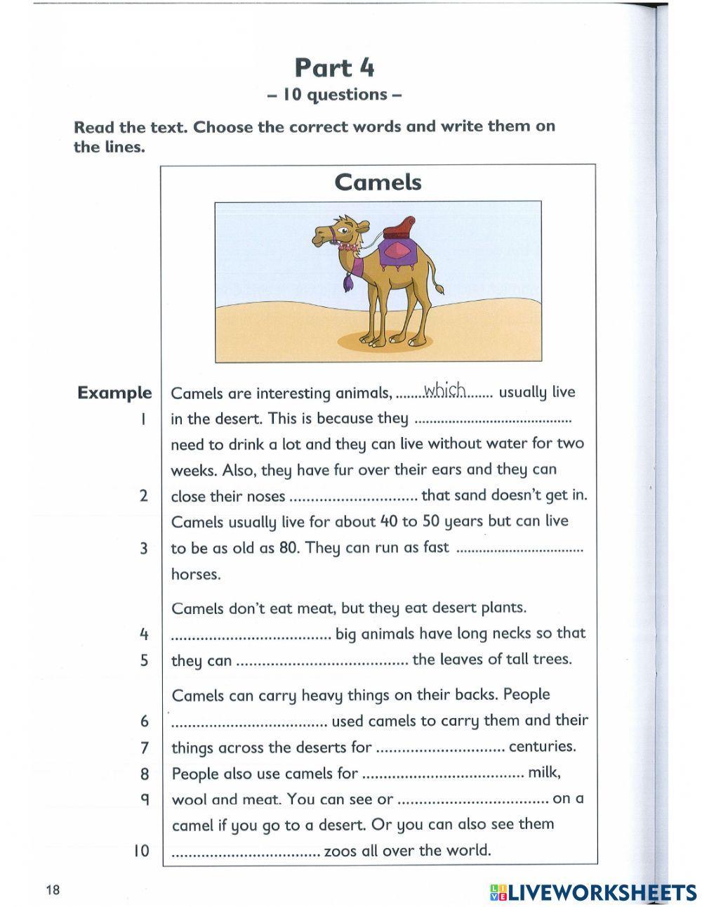 A2 Flyers practices test Reading and Writing part 4