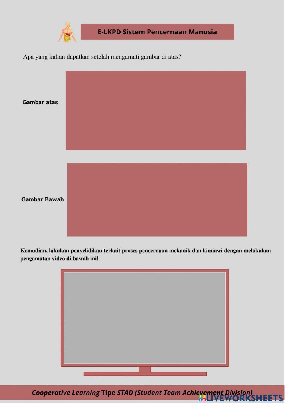 LKPD 3 Pencernaan Mekanik dan Kimiawi