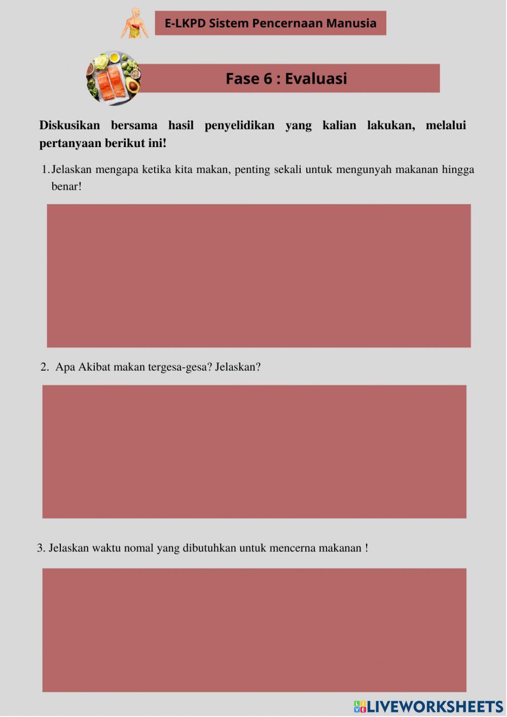 LKPD 3 Pencernaan Mekanik dan Kimiawi