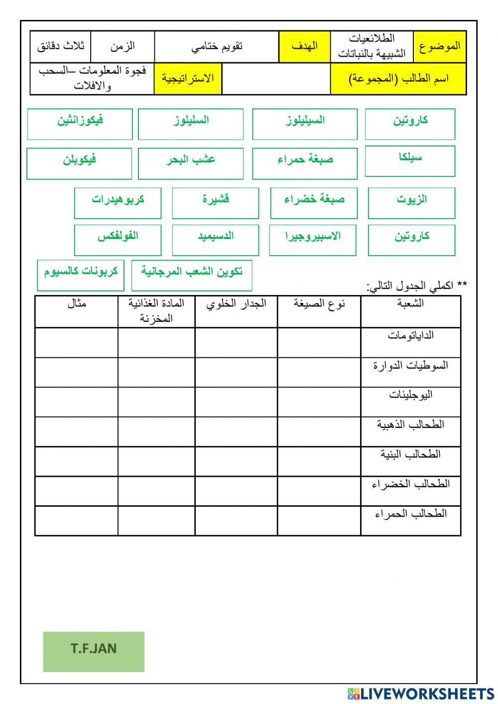الطلائعيات الشبيهه بالحيوانات