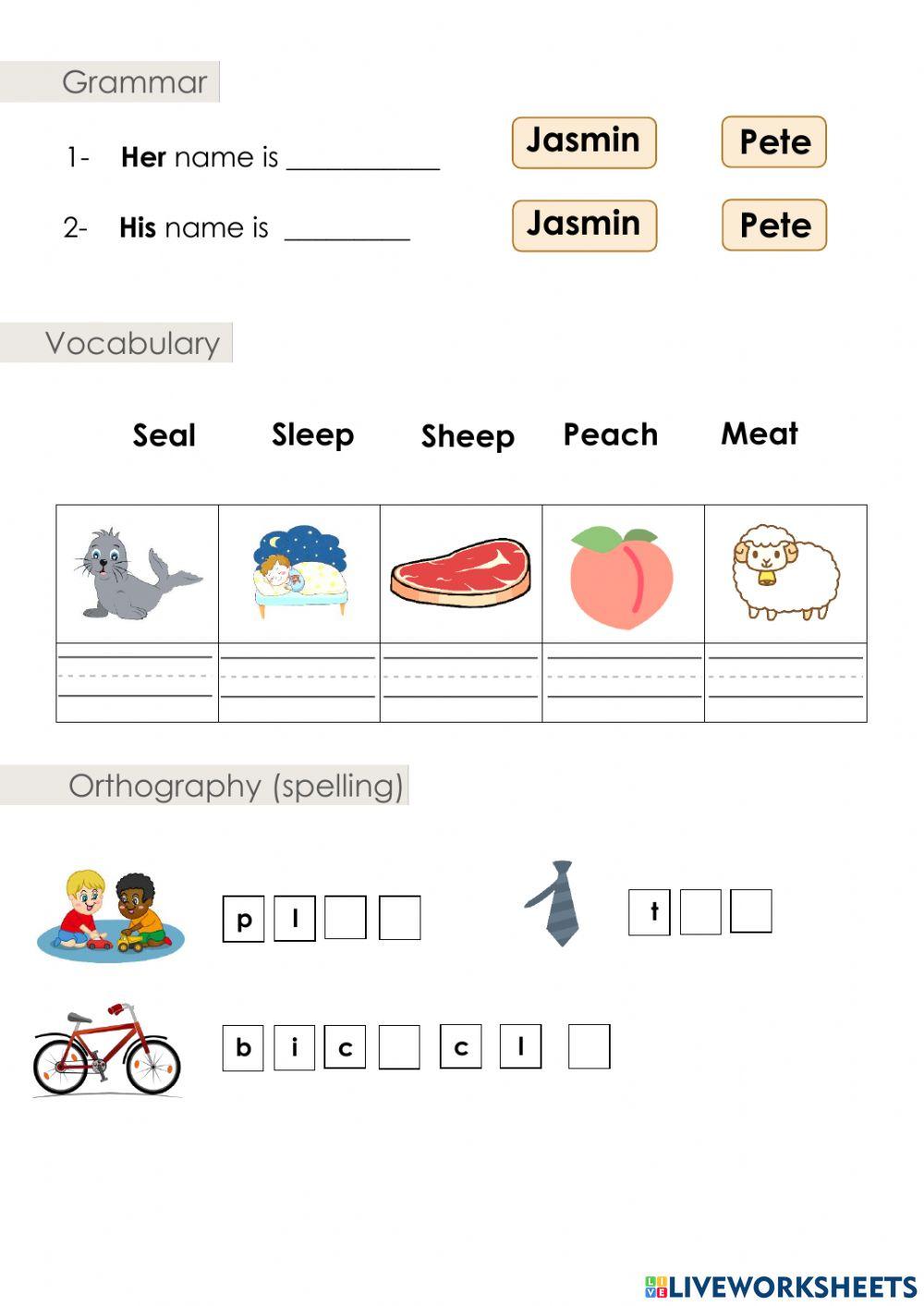 مراجعه عامه سادس