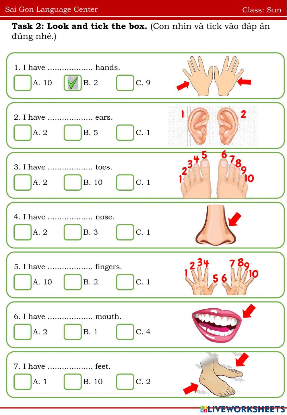A3.Body part