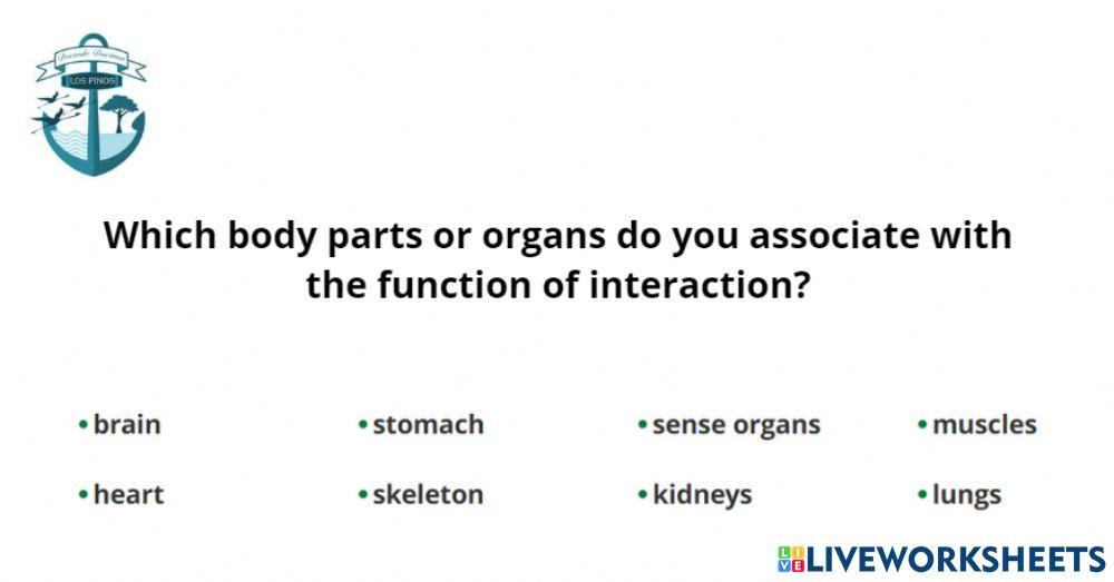Organs involved in interaction