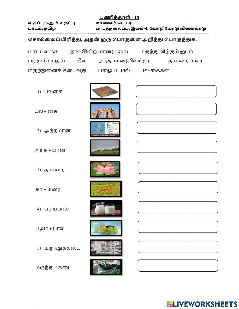 மொழியோடு விளையாடு