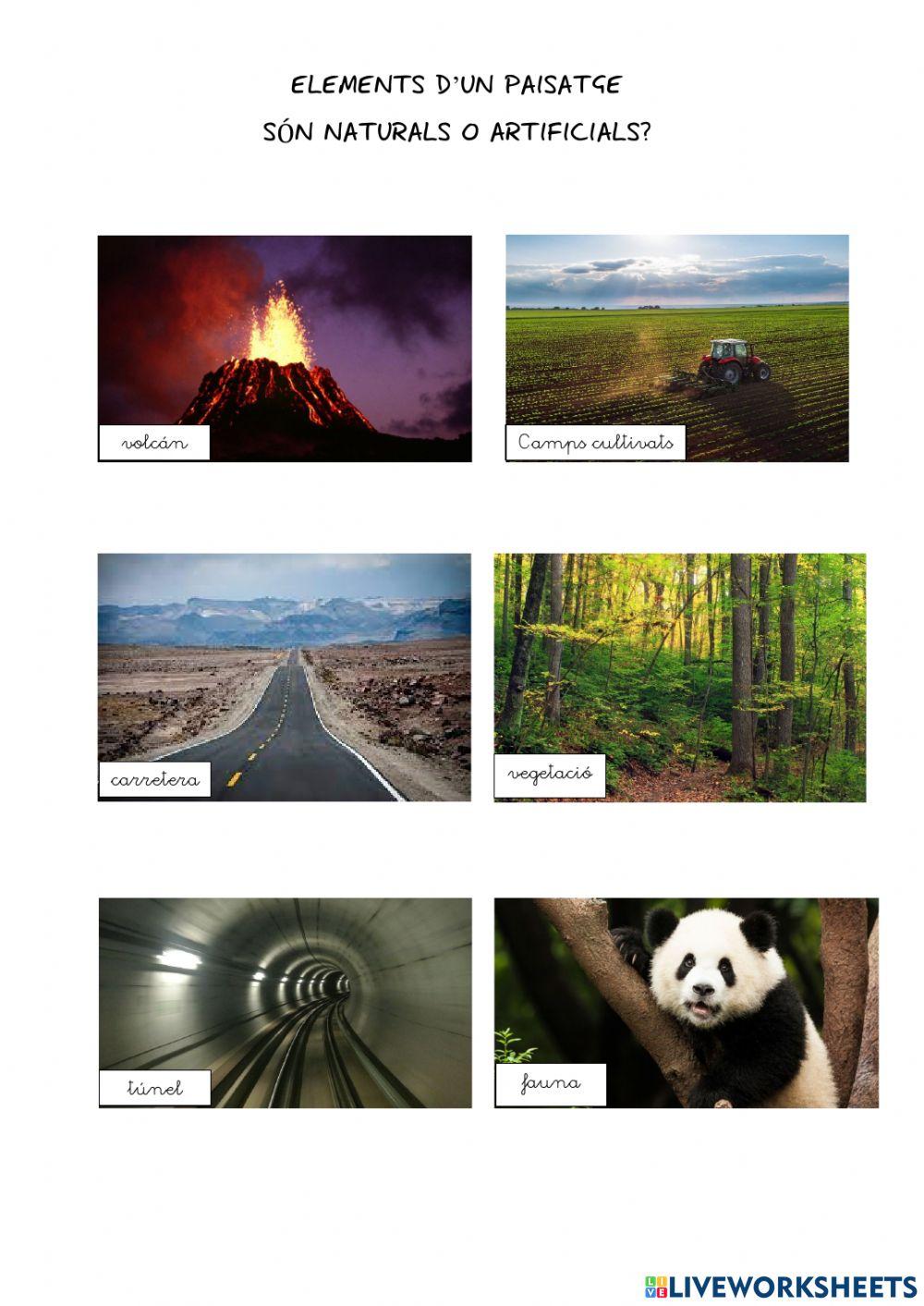 Elements del paisatge