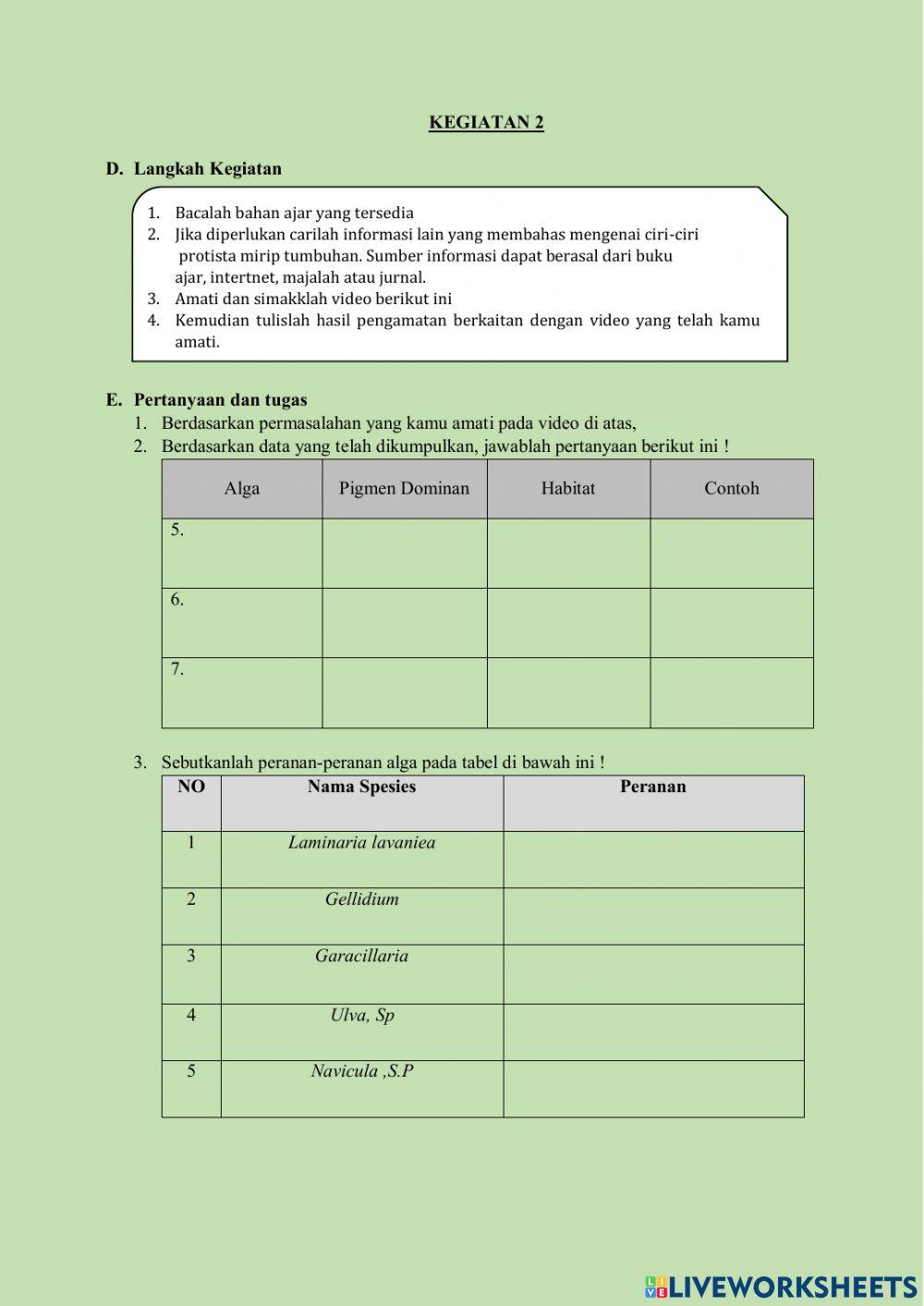 Protista mirip tumbuhan