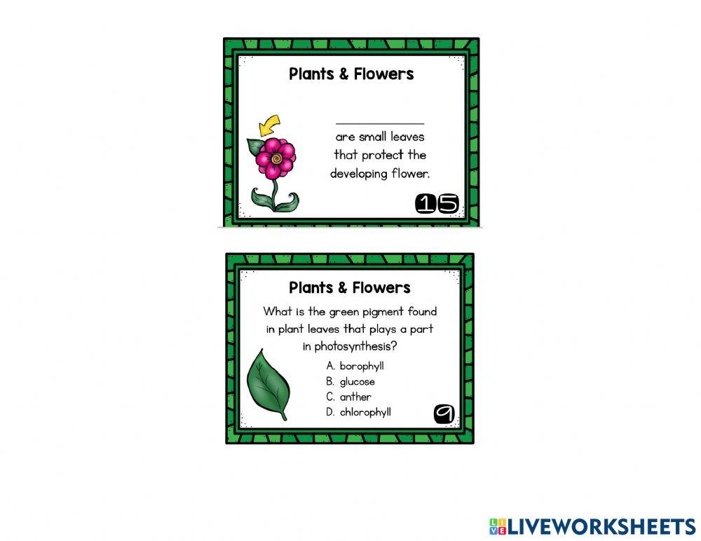 Homework Week 6 Day 1